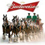 busweiser_feature