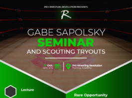 Gabe Sapolsky Seminar!