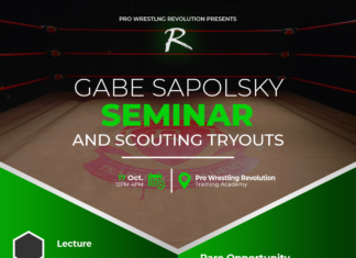 Gabe Sapolsky Seminar!
